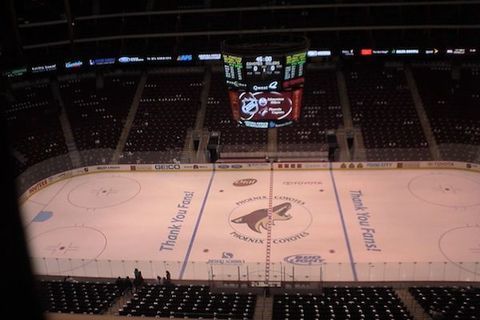 Arizona Coyotes
