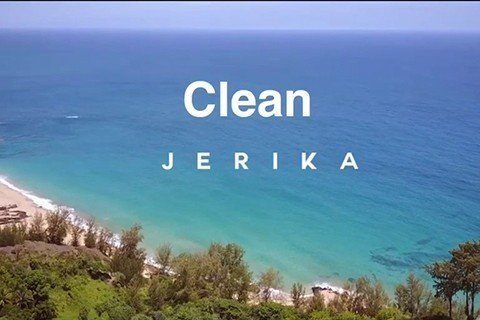 Jerika - Jake Paul image