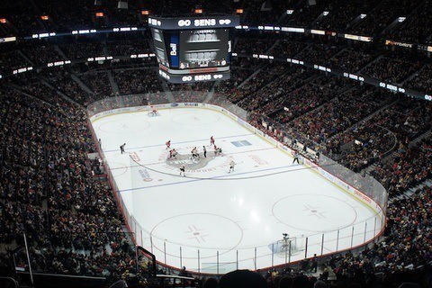 Ottawa Senators image