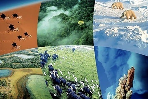 Planet Earth