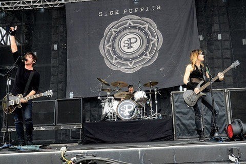 Sick Puppies image