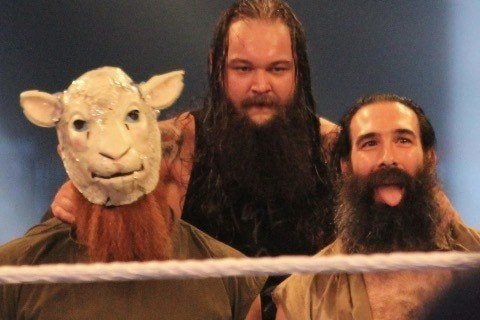 The Wyatt Family image