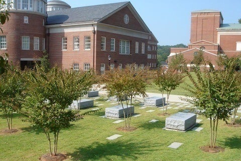University of Georgia