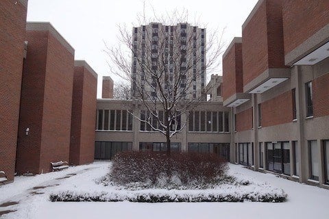 York University
