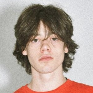 347aidan image 7