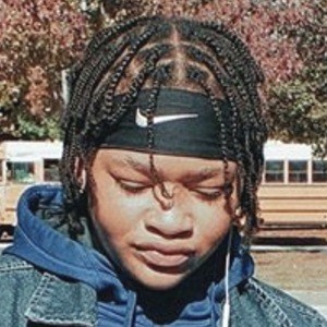 3shadessofmo image 5