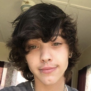 Aaron Lee, 27 (Звезда Тиктока)