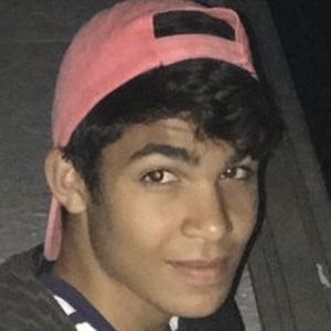 Adam Sadek image 8