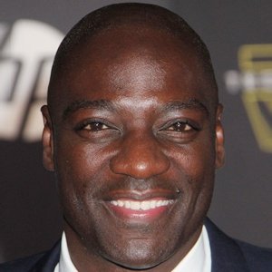 Adewale Akinnuoye-Agbaje image 7
