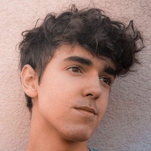 Adrian Krajcar image 6