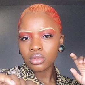 Адултсдринк image 5