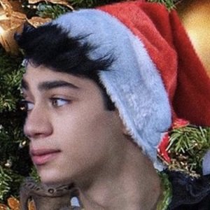 Alan Sandoval, 23 (TikTok Star)