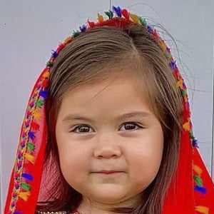 alarainmotion image 2