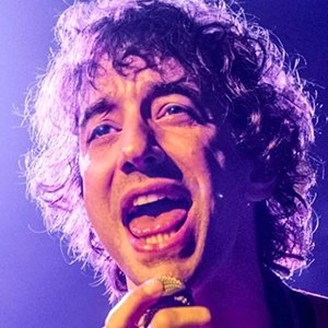Albert Hammond Jr. image 2
