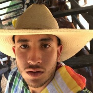 Alejandro Arredondo image 2