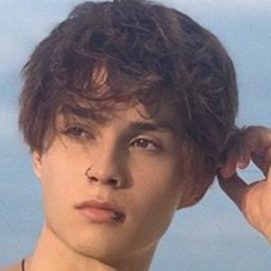 Алех Аллен image 3