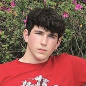 Alex Cerabone, 22 (TikTok Star)