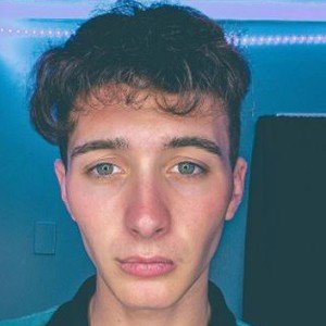 Alex Galorneau, 26 (TikTok Star)