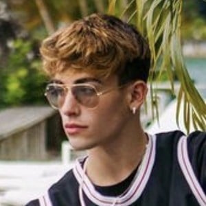 Alex Mandon Rey image 4