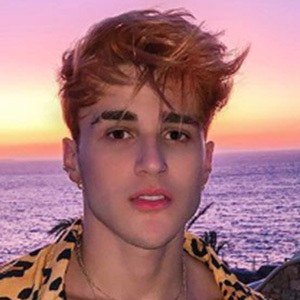 Alex Mapeli image 2