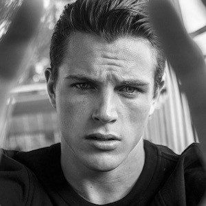 Alex Valley image 3