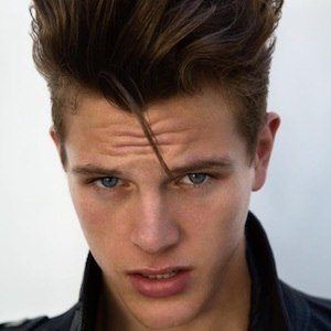 Alex Valley image 6