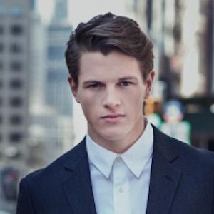 Alex Valley image 7