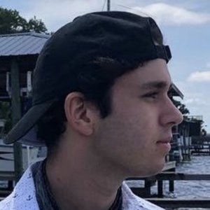 Alex Zaga image 7