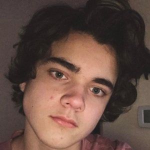 Alexander Stewart image 4