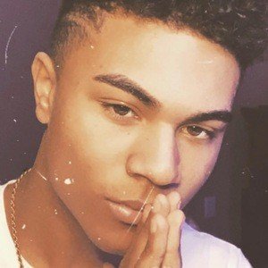 Alexander Stogdill, 22 (TikTok明星)