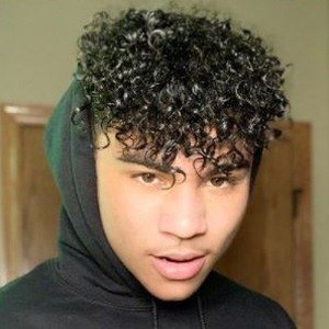 Alexander Stogdill image 5