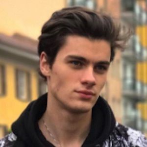 Alexandru Gorincioi image 4