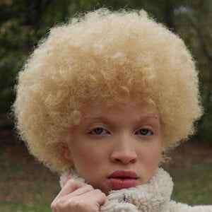 Alexis Carey image 8