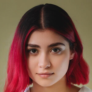 Alexmidiaz