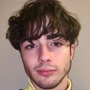 Alfie Templeman image 3