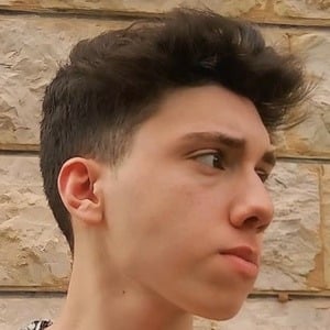 Ali Reda image 3