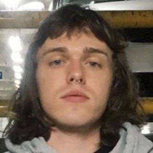 Allday image 2