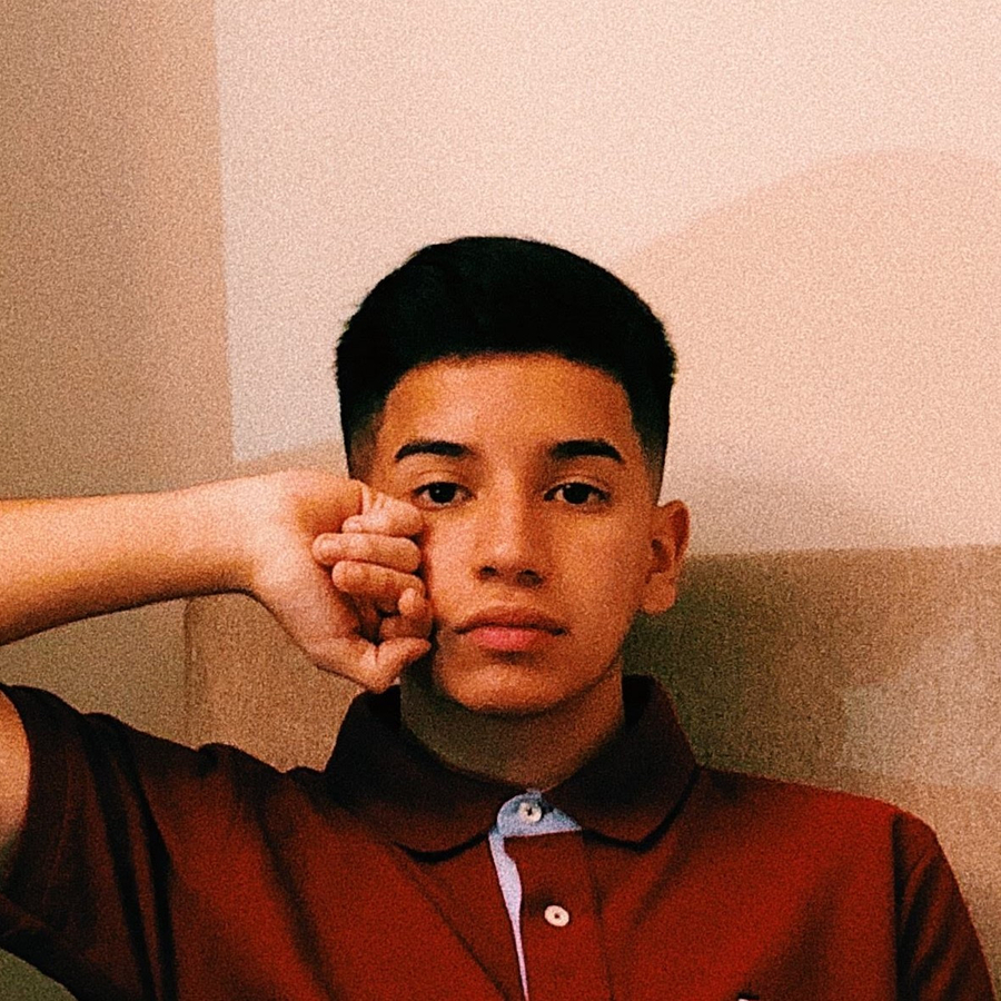 Alvaro Romero, 22 (TikTok Star)