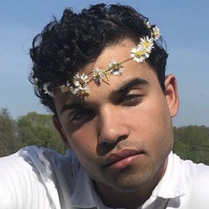 Андрé Фелипе image 5