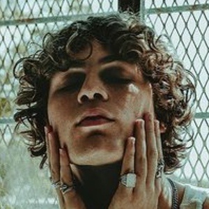 Andrés Di Rienzo image 7