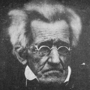 Andrew Jackson image 3