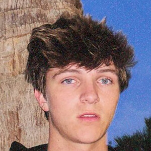 Andrew Stephens image 5