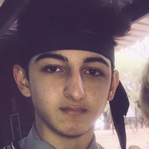 Andy Stallion image 3