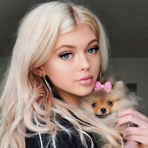 Angel Pom (2017 - 2019) (Dog)