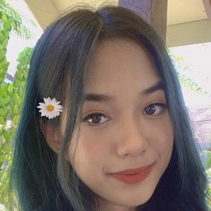 Aniscandy image 7
