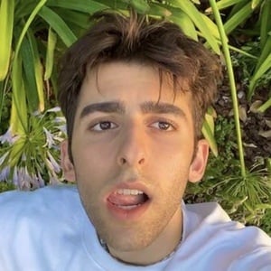 Aram Karamanian image 4