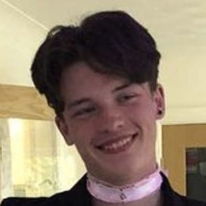 Archie Ackerman image 6