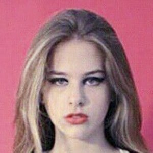 Ariana Caride, 27 (Звезда Тиктока)