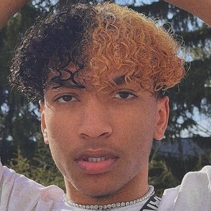 Armani Deleon image 7