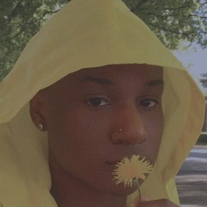 Armani Rhodes image 4